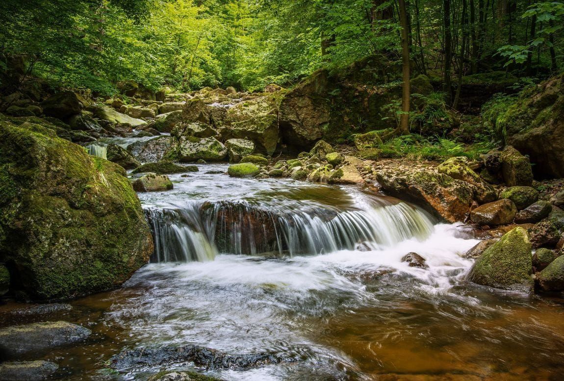 Sendero del río Majaceite