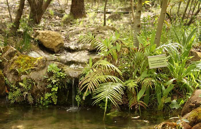 Jardín Botánico El Castillejo