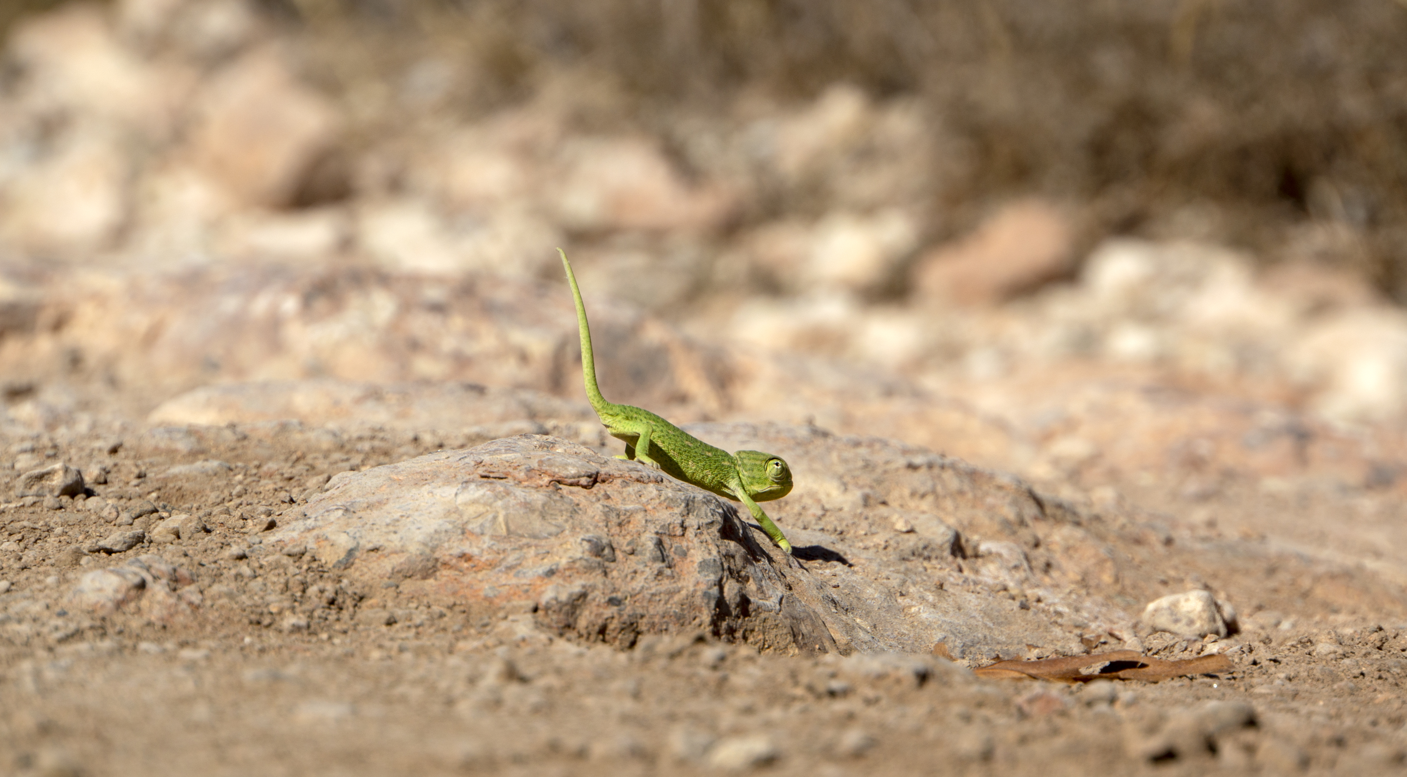 Playa de Agua Amarga