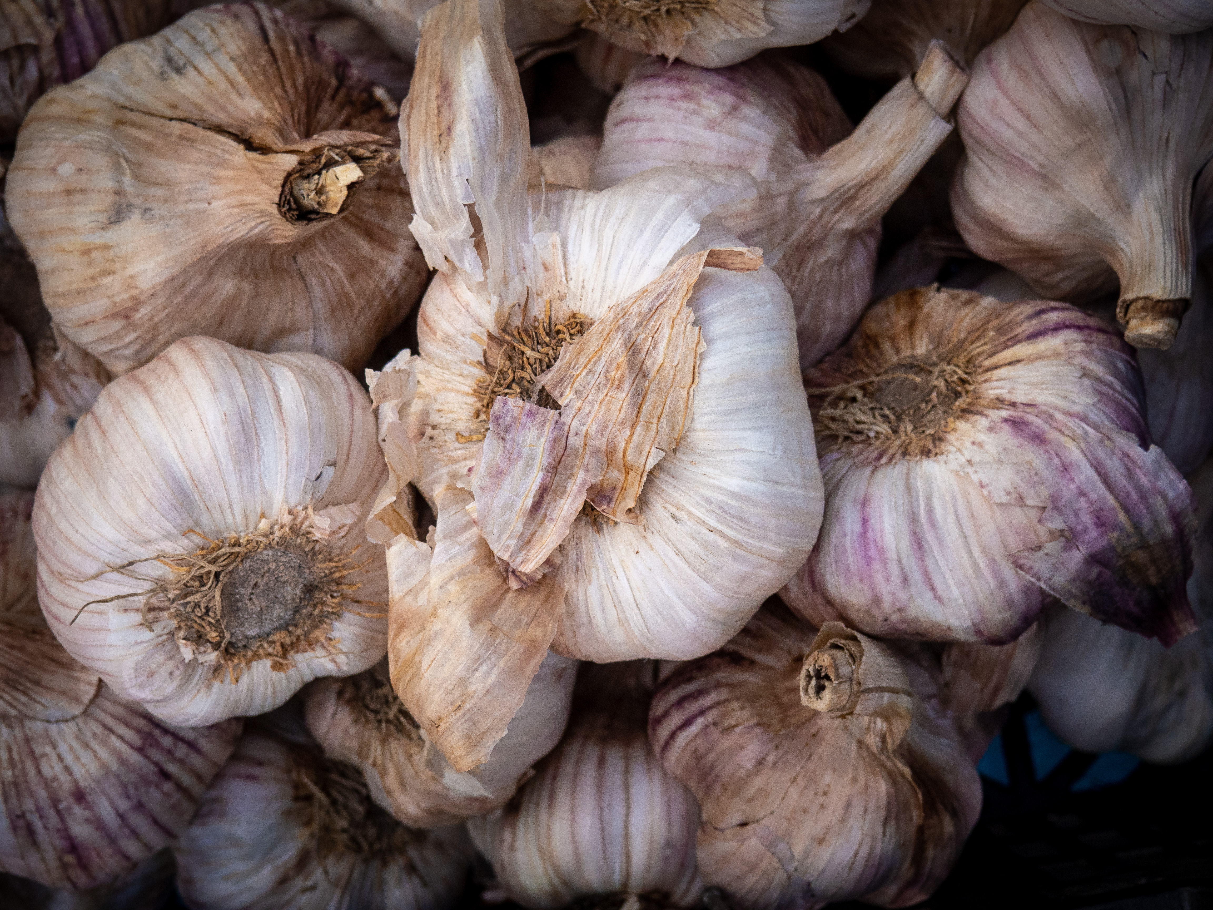 Galerías y estudios de arte