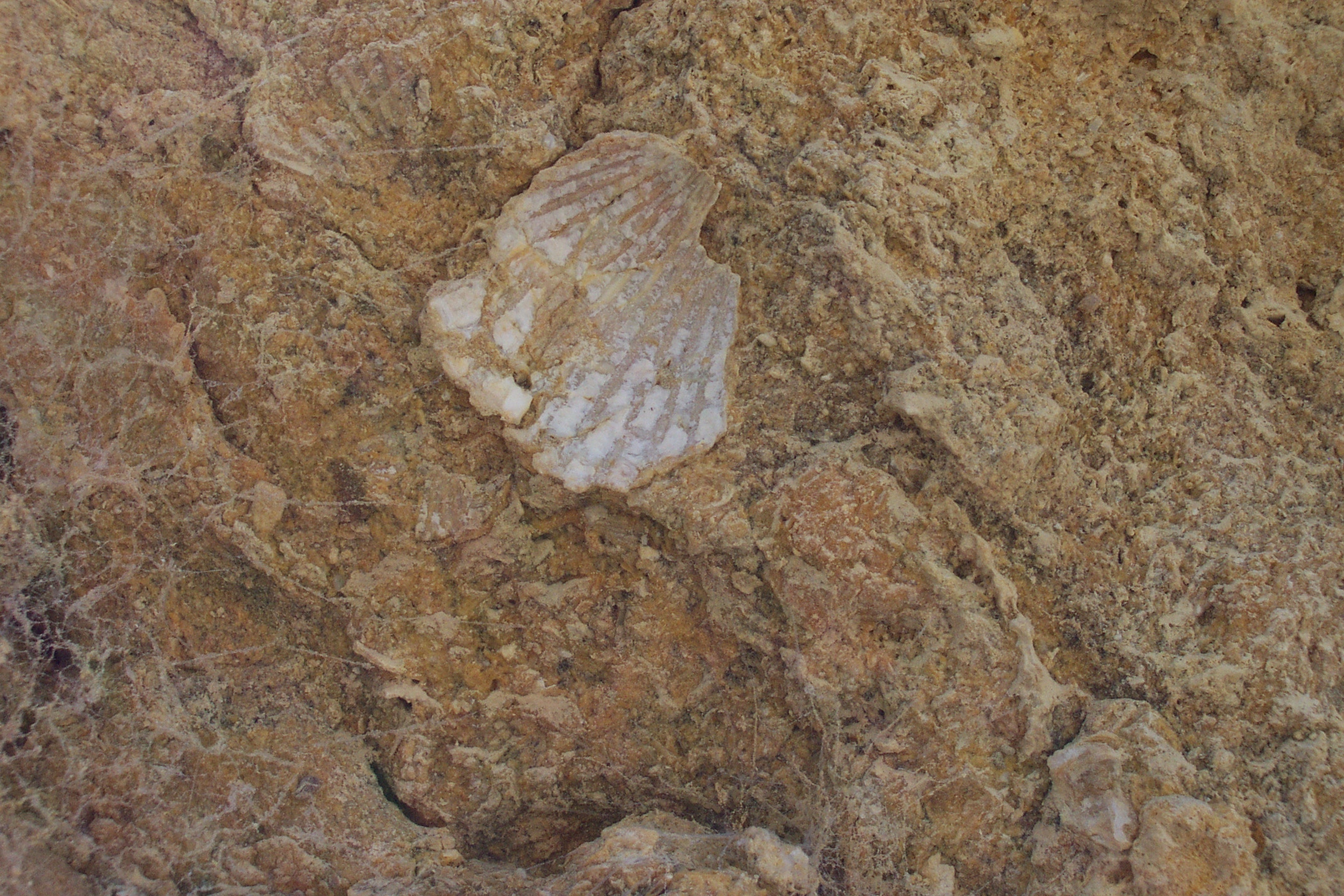 Iglesia de la Encarnación