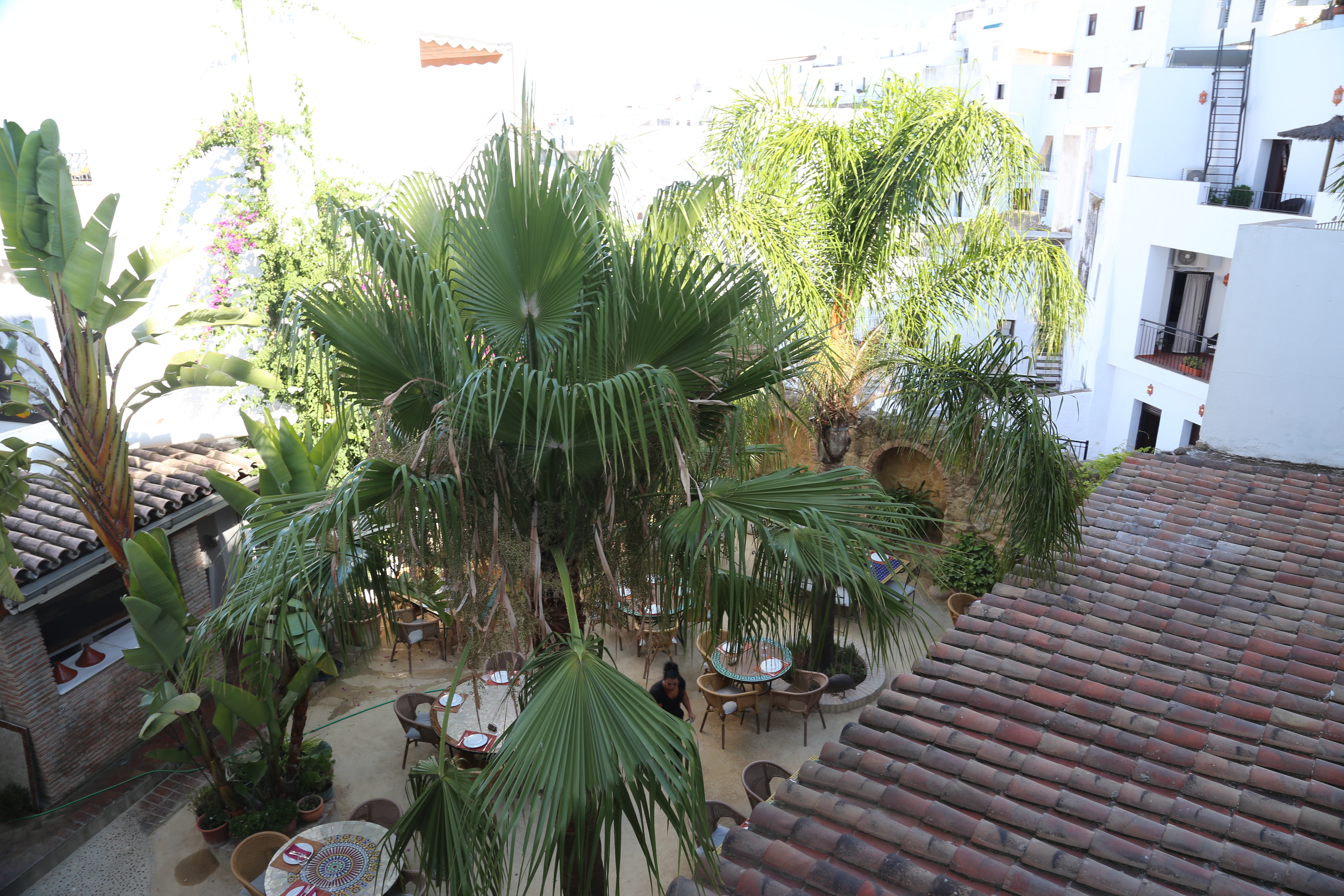 Iglesia del Divino Salvador