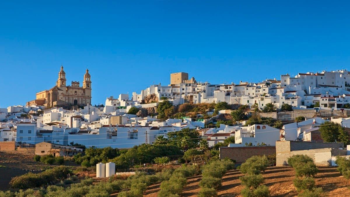 Olvera